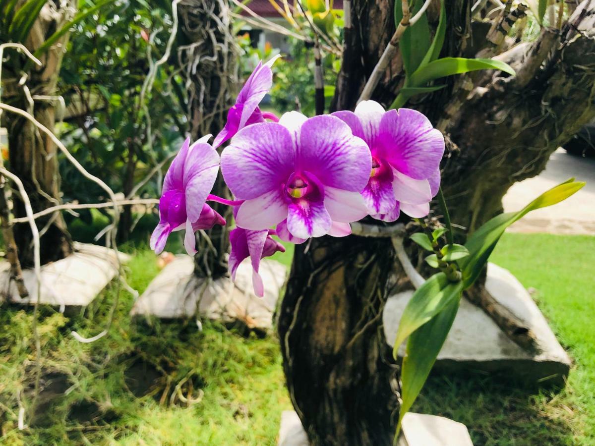Tongatok Cliff Resort Mambajao Kültér fotó